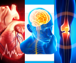 image of human heart and leg bone overlaid with visual of human head with brain, designed to capture common signs of aging
